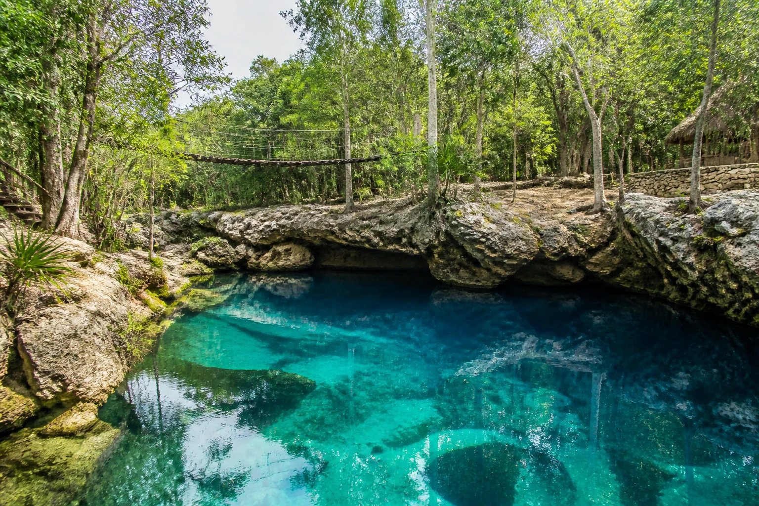 Blue cenote surrounded by tropical vegetation and limestone