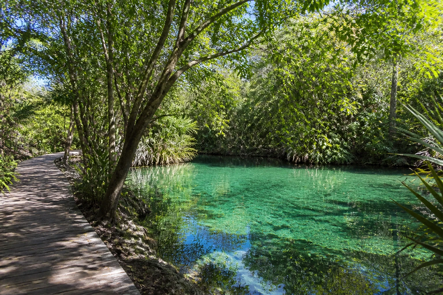 Freshwater lagoon surrounded by tropical forest at Ojos Indígenas