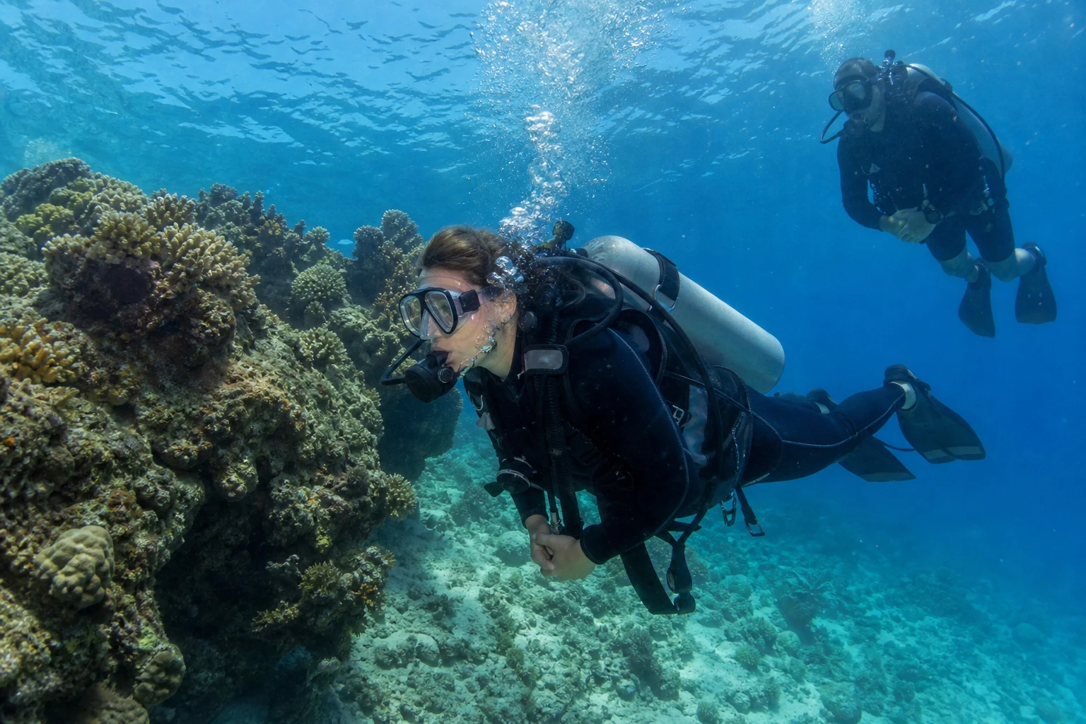 Beginner Scuba Diving in Punta Cana Guide