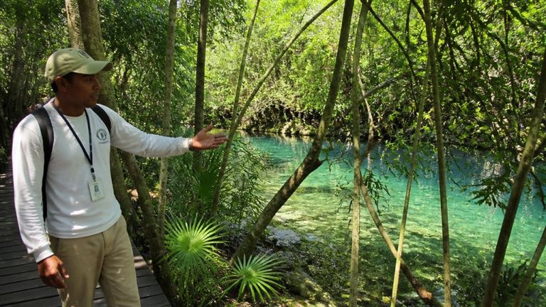 indigenous ecological reserve guide