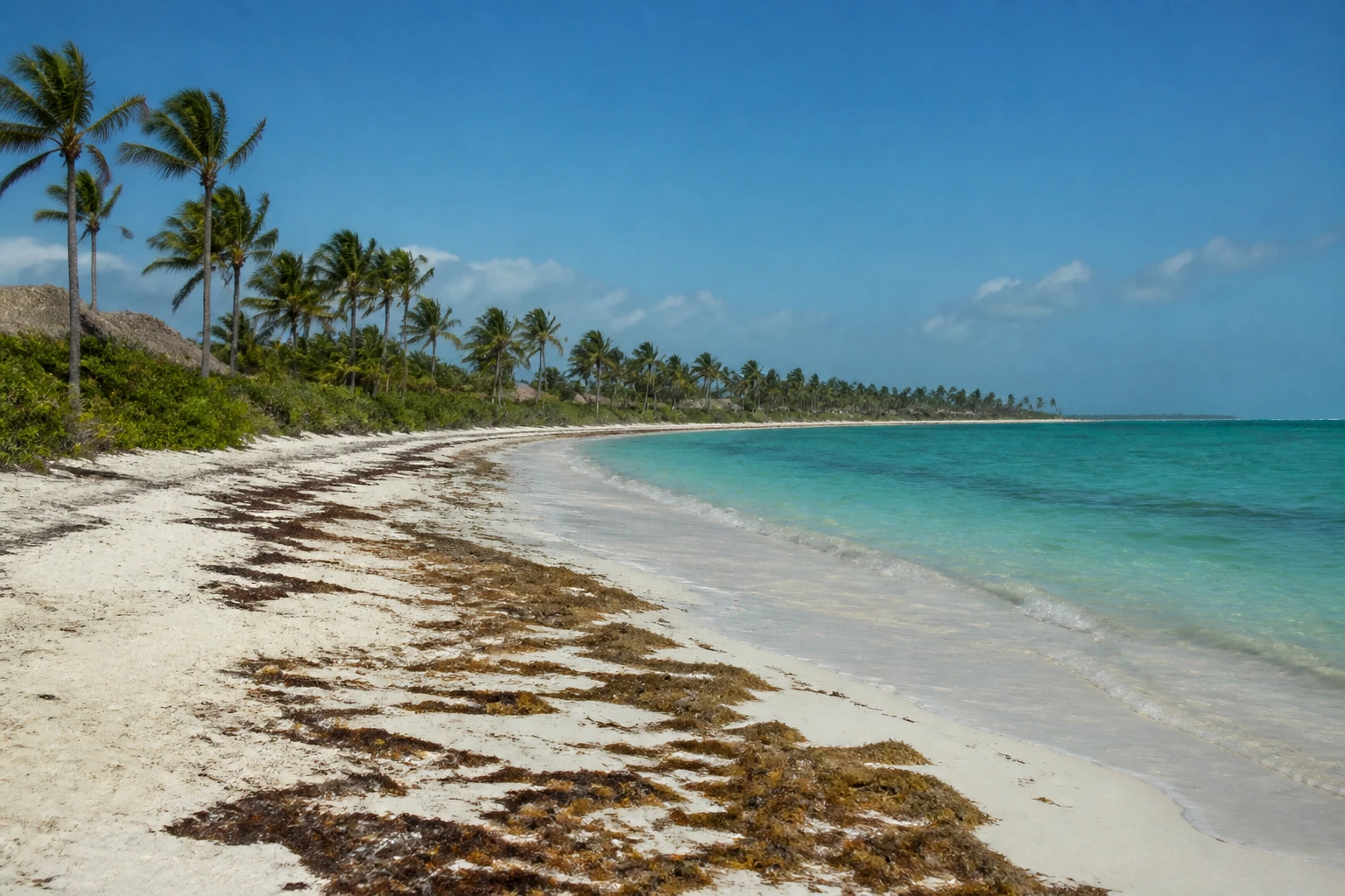 Caribbean shoreline illustrating why same-day beach-condition checks matter
