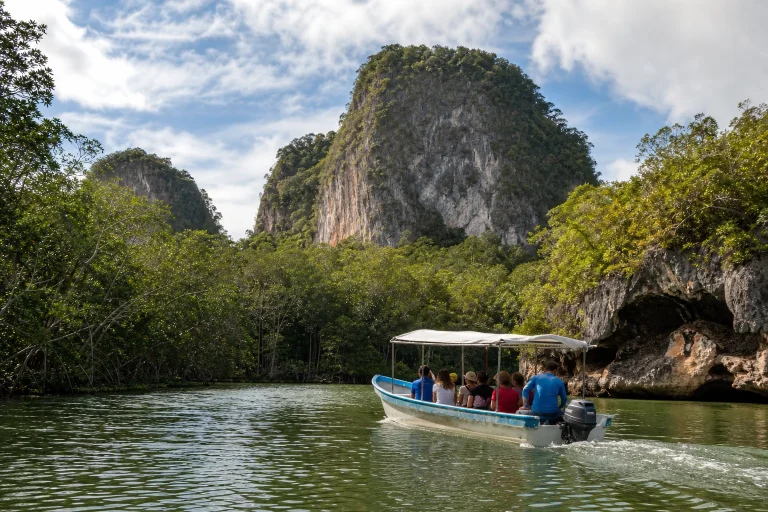 Boat traveling through mangroves and karst scenery in Los Haitises National Park