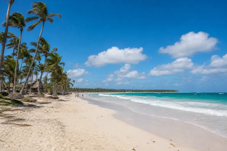 Wide palm-lined shoreline and surf at Macao Beach in Punta Cana