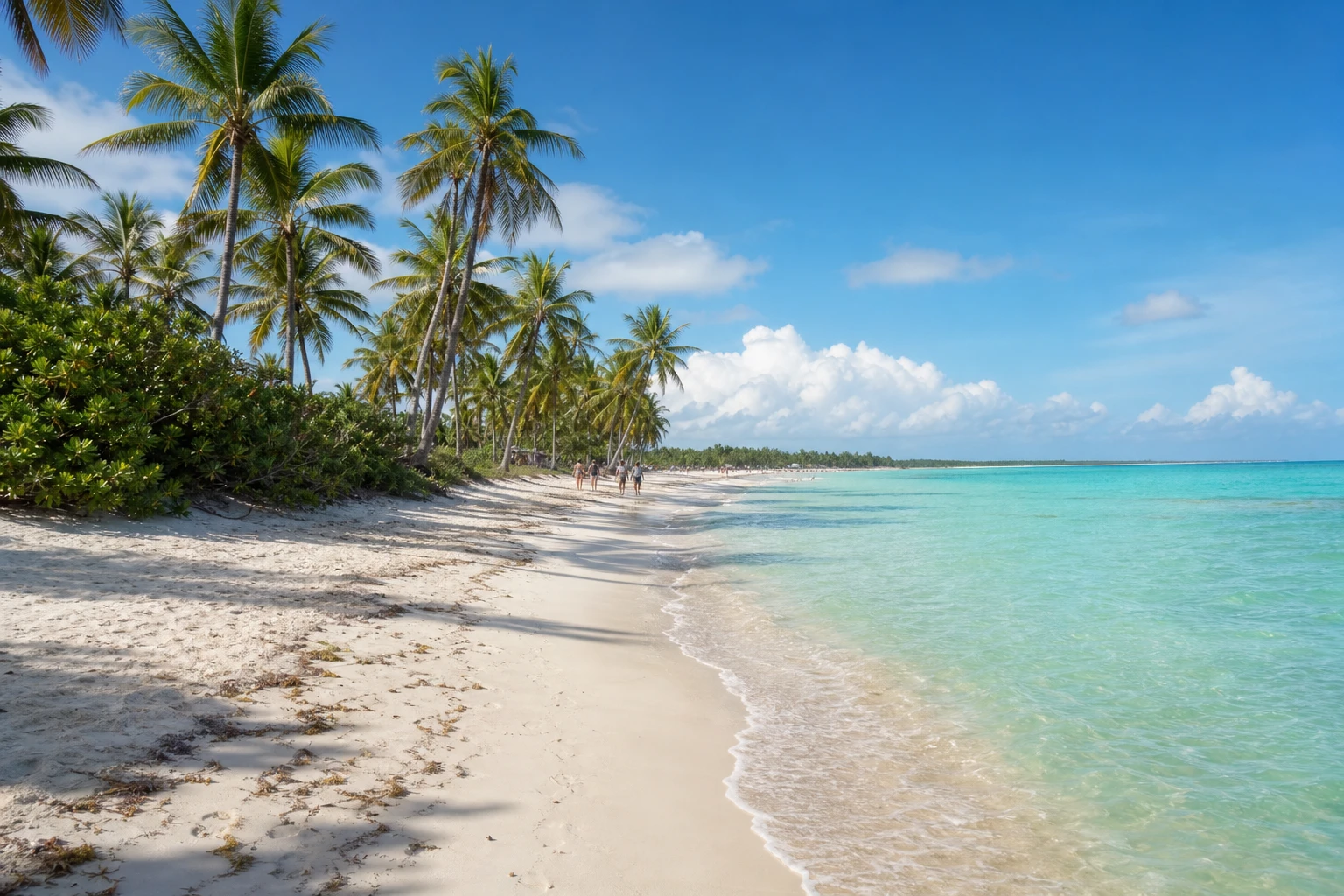 Playa Bibijagua Punta Cana Guide