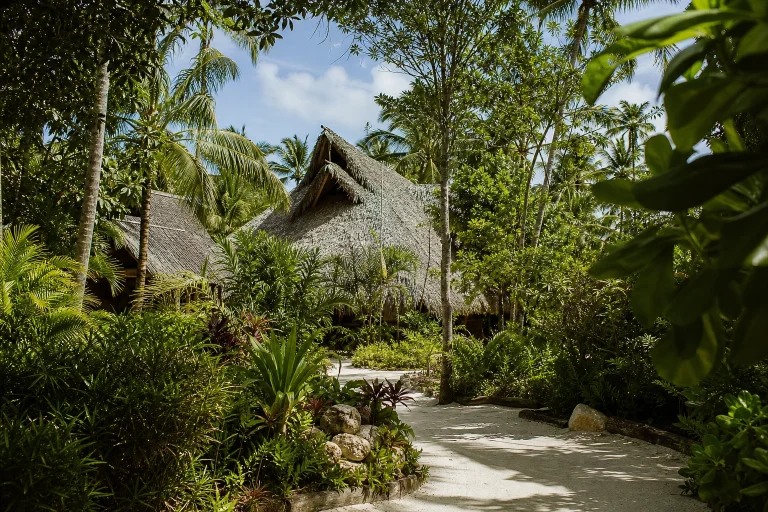 Tropical landscaping surrounding a sustainability-oriented resort in Punta Cana
