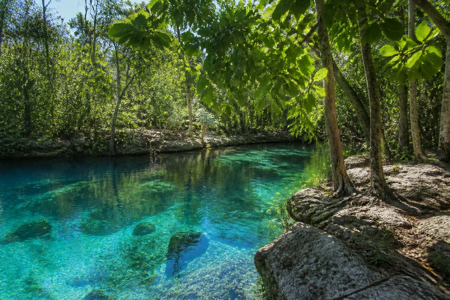 Freshwater lagoon surrounded by tropical forest in Punta Cana