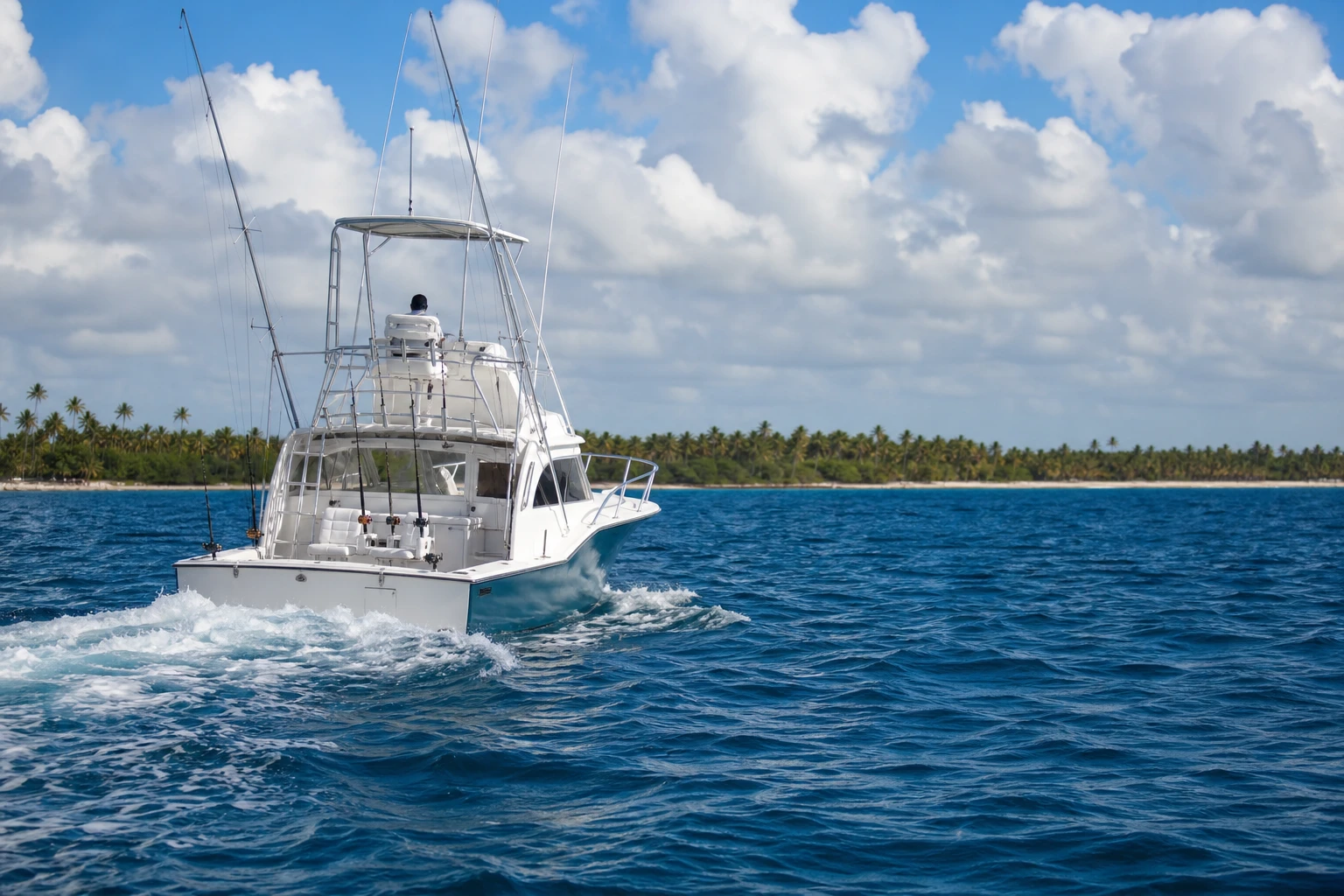 Punta Cana Fishing Charters Guide