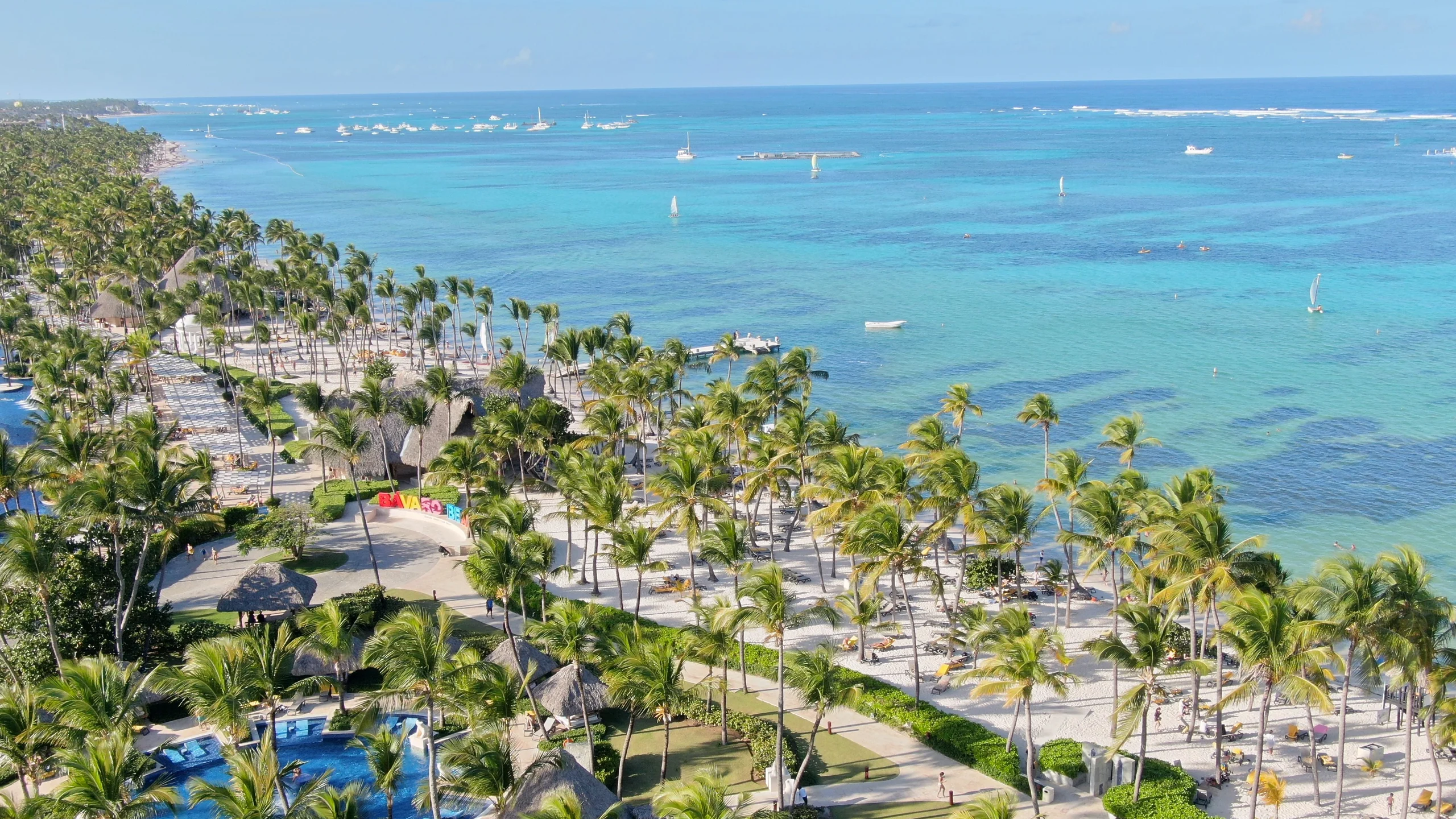 Aerial view of the palm-lined Punta Cana coast and turquoise Caribbean water